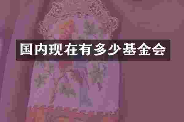 国内现在有多少基金会
