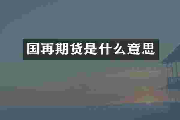 国再期货是什么意思