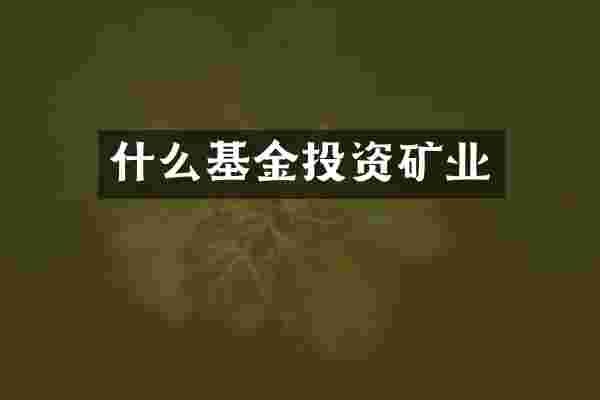 什么基金投资矿业