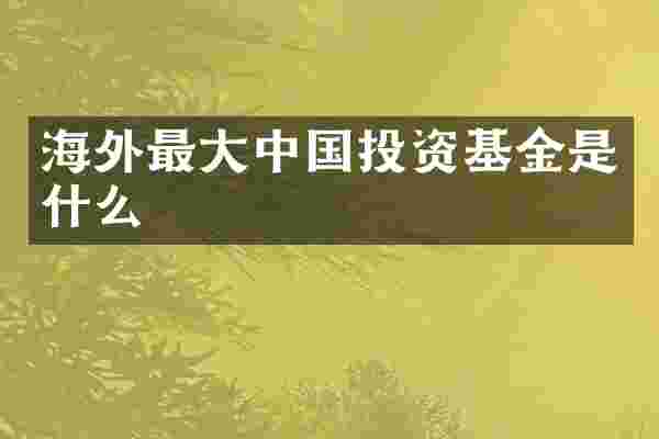 海外最大中国投资基金是什么