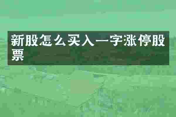 新股怎么买入一字涨停股票