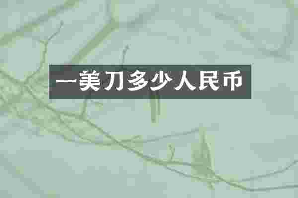 一美刀多少人民币