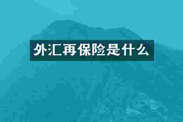 外汇再保险是什么