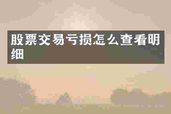 股票交易亏损怎么查看明细