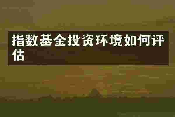 指数基金投资环境如何评估