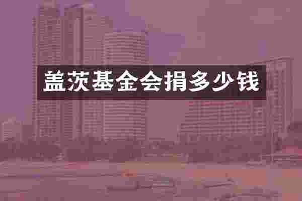 盖茨基金会捐多少钱