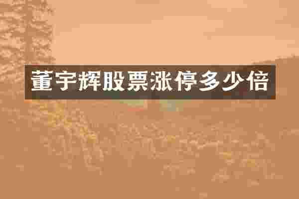 董宇辉股票涨停多少倍