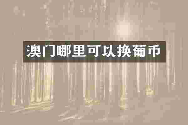 澳门哪里可以换葡币