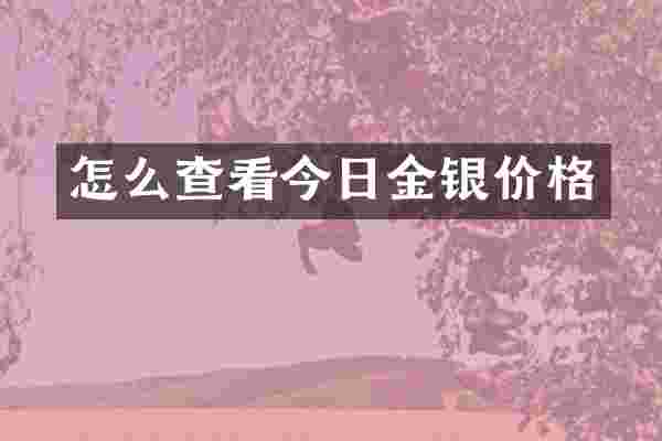 怎么查看今日金银价格