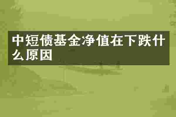 中短债基金净值在下跌什么原因