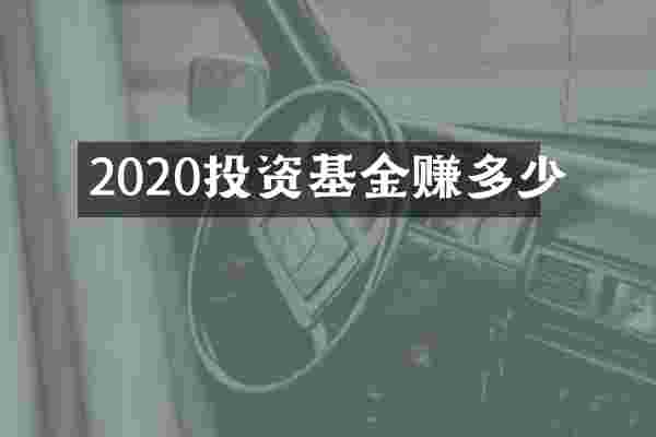 2020投资基金赚多少