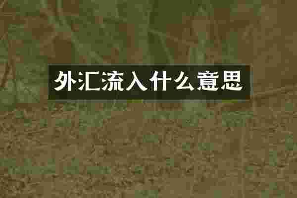 外汇流入什么意思