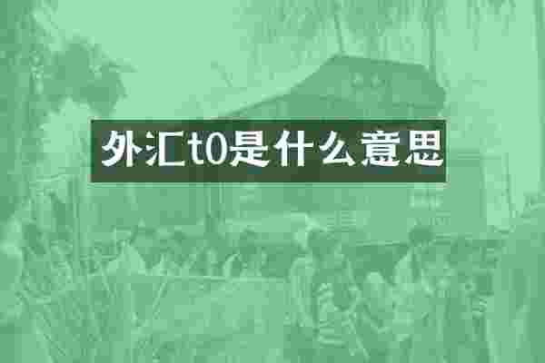 外汇t0是什么意思