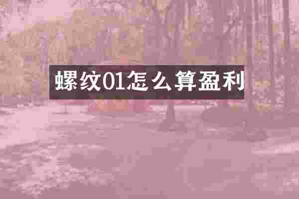 螺纹01怎么算盈利