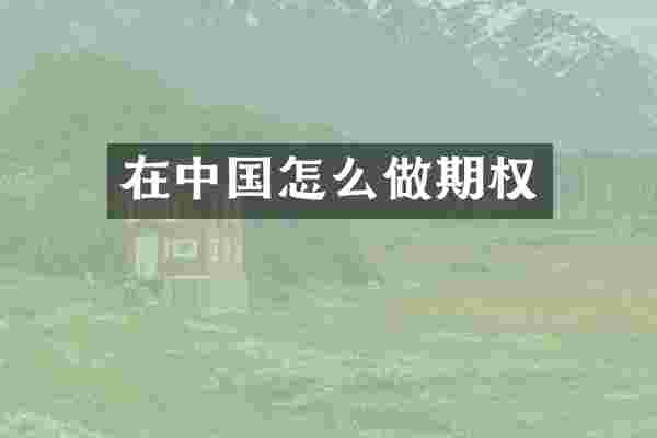 在中国怎么做期权