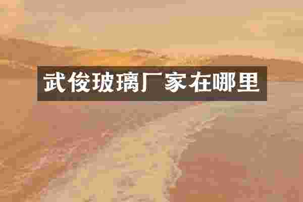 武俊玻璃厂家在哪里