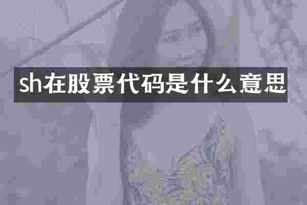 sh在股票代码是什么意思