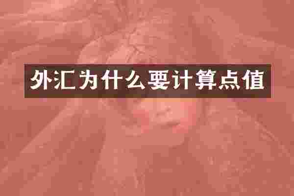 外汇为什么要计算点值