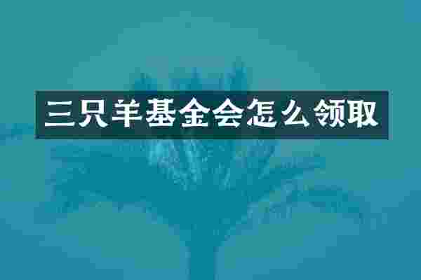 三只羊基金会怎么领取