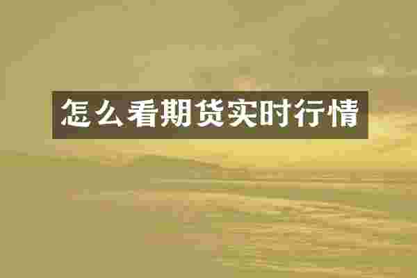 怎么看期货实时行情