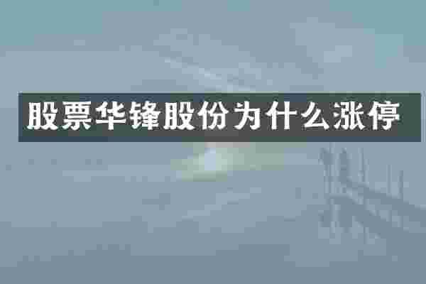 股票华锋股份为什么涨停