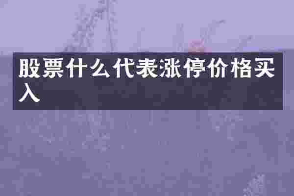 股票什么代表涨停价格买入
