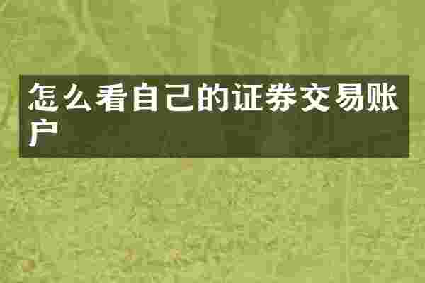 怎么看自己的证券交易账户