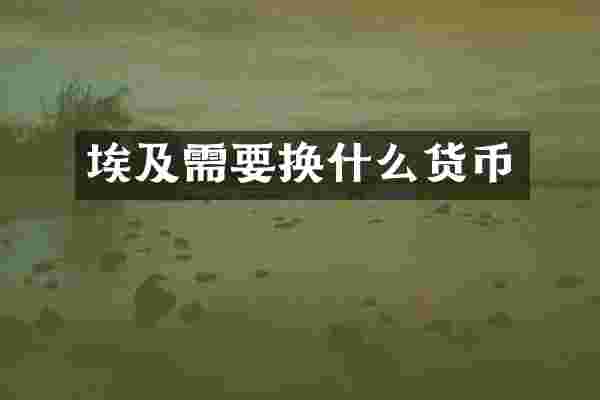 埃及需要换什么货币