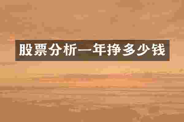 股票分析一年挣多少钱