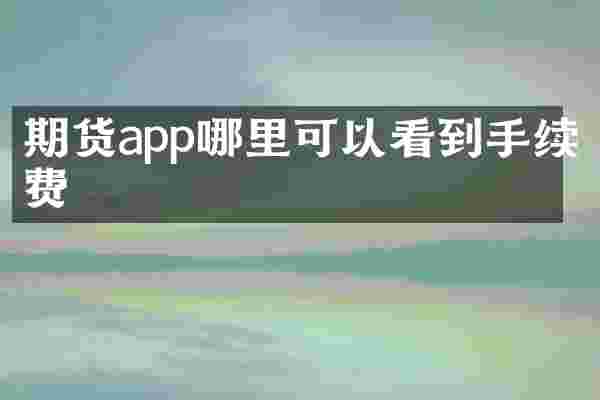 期货app哪里可以看到手续费