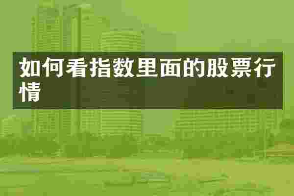 如何看指数里面的股票行情