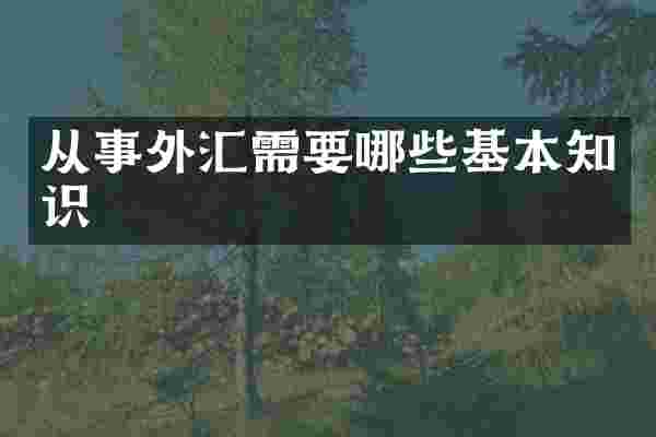 从事外汇需要哪些基本知识