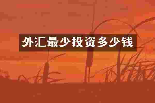 外汇最少投资多少钱