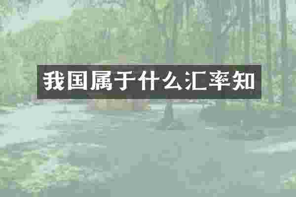 我国属于什么汇率知