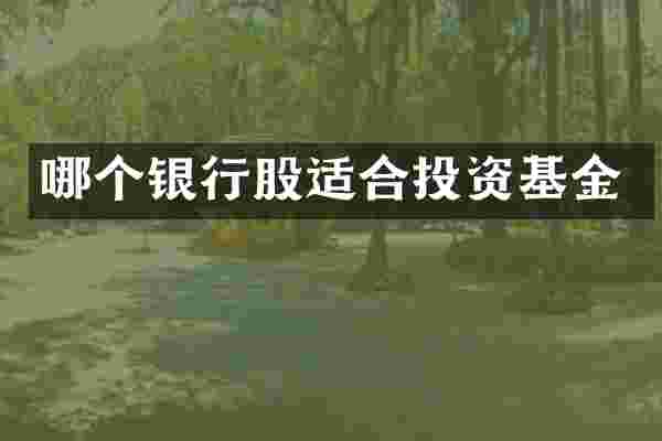 哪个银行股适合投资基金