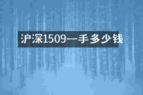 沪深1509一手多少钱