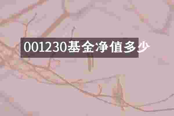 001230基金净值多少