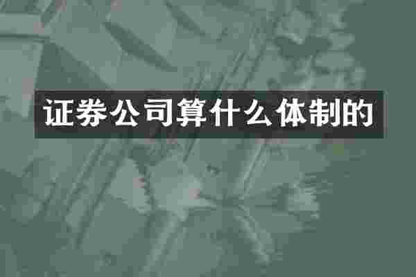 证券公司算什么体制的