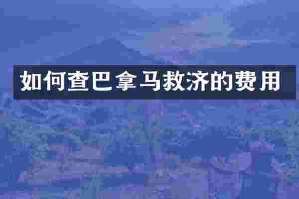 如何查巴拿马救济的费用