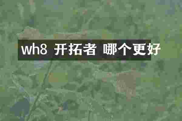 wh8 开拓者 哪个更好