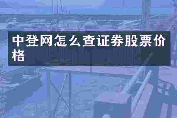 中登网怎么查证券股票价格