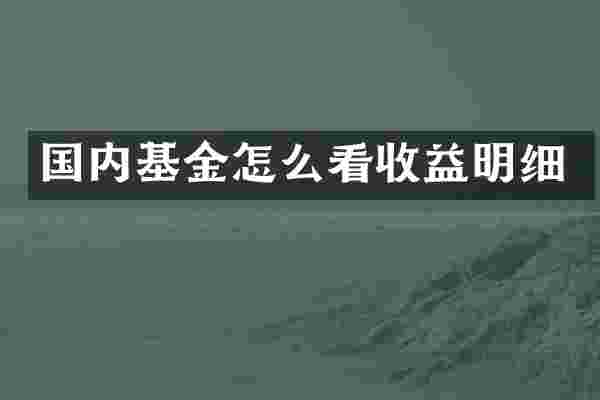 国内基金怎么看收益明细