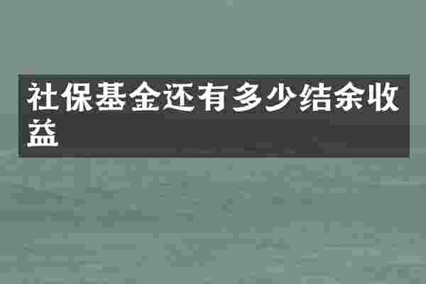 社保基金还有多少结余收益
