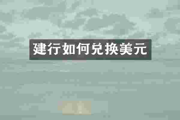 建行如何兑换美元