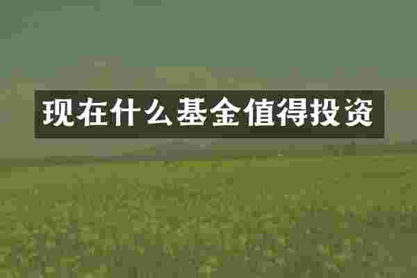 现在什么基金值得投资