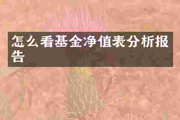 怎么看基金净值表分析报告
