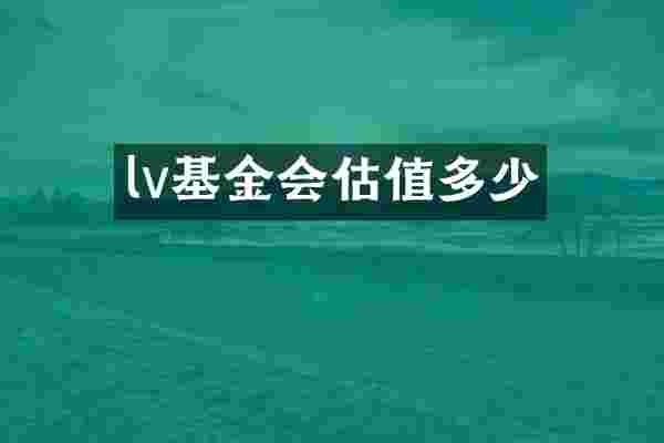 lv基金会估值多少
