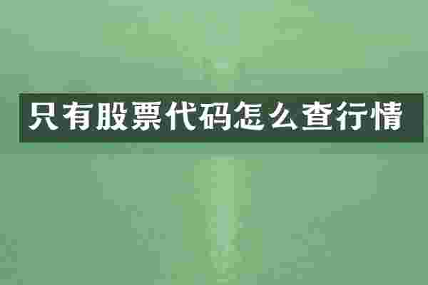 只有股票代码怎么查行情