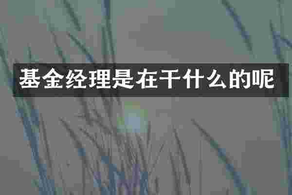 基金经理是在干什么的呢
