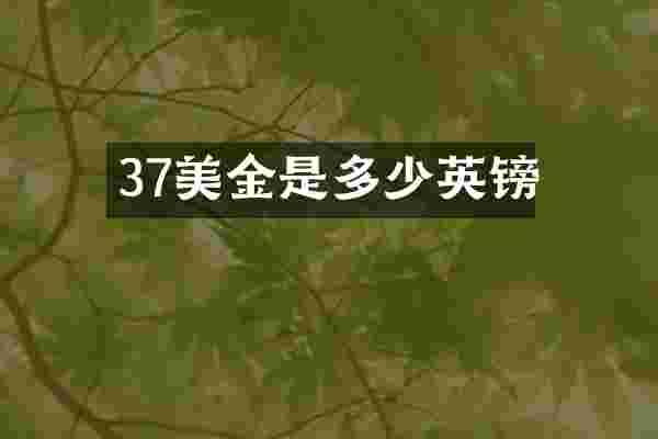 37美金是多少英镑